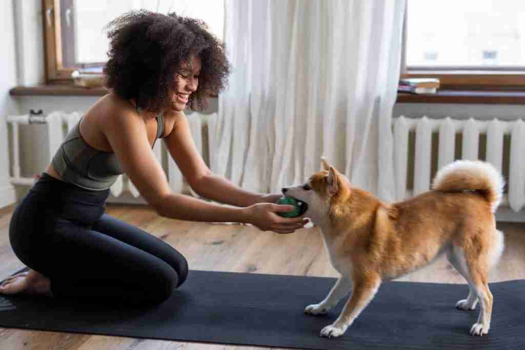 Lady playing tug on a rug with her dog