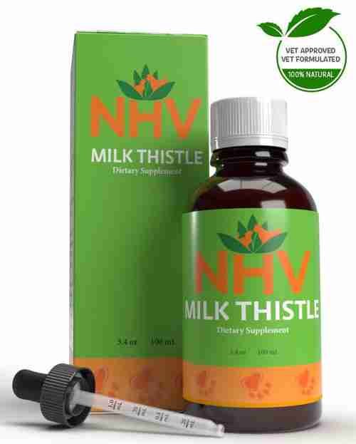 Milk Thistle for Dogs Support for liver and kidney detox and cancer support in dogs